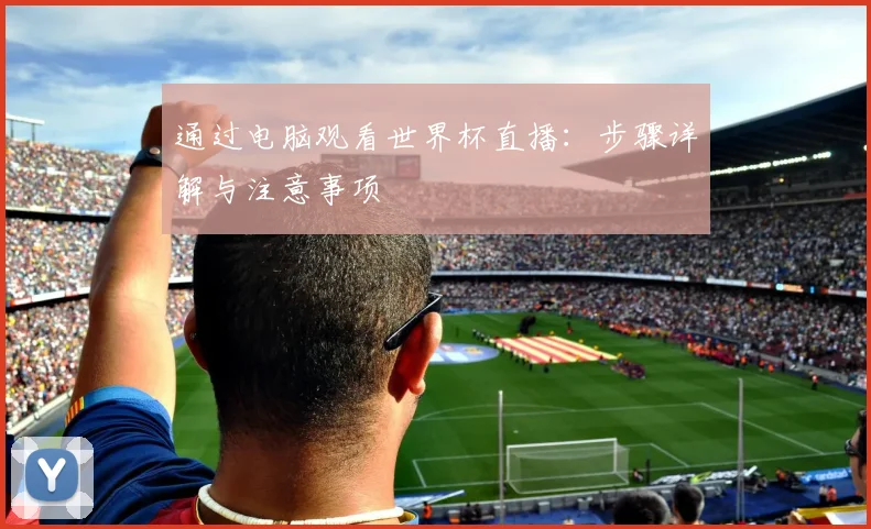 通过电脑观看世界杯直播：步骤详解与注意事项