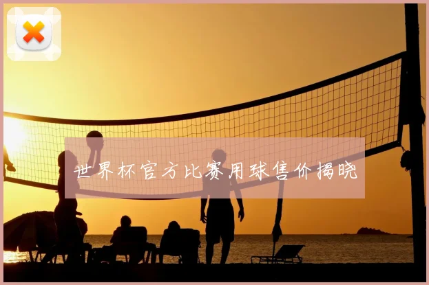 世界杯官方比赛用球售价揭晓