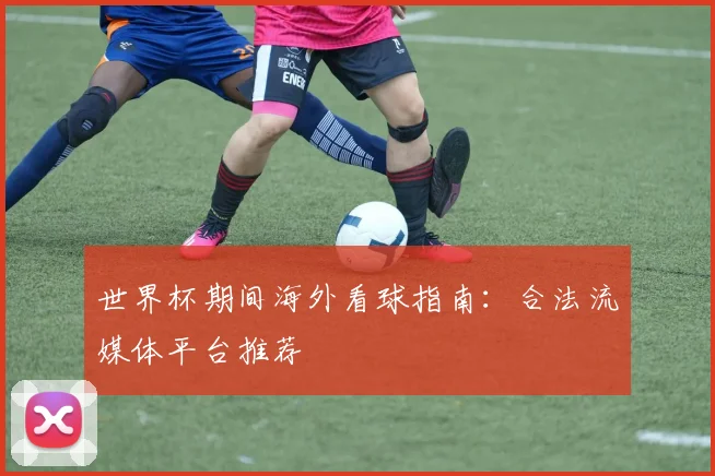 世界杯期间海外看球指南：合法流媒体平台推荐