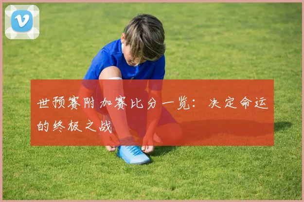 世预赛附加赛比分一览:决定命运的终极之战