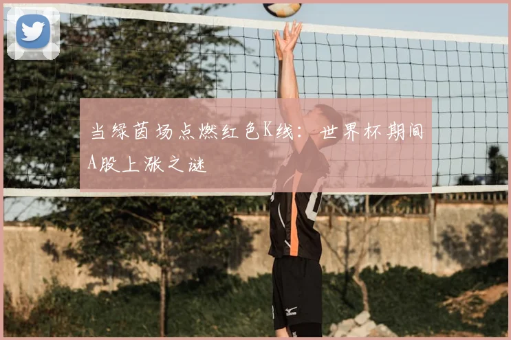 当绿茵场点燃红色K线：世界杯期间A股上涨之谜